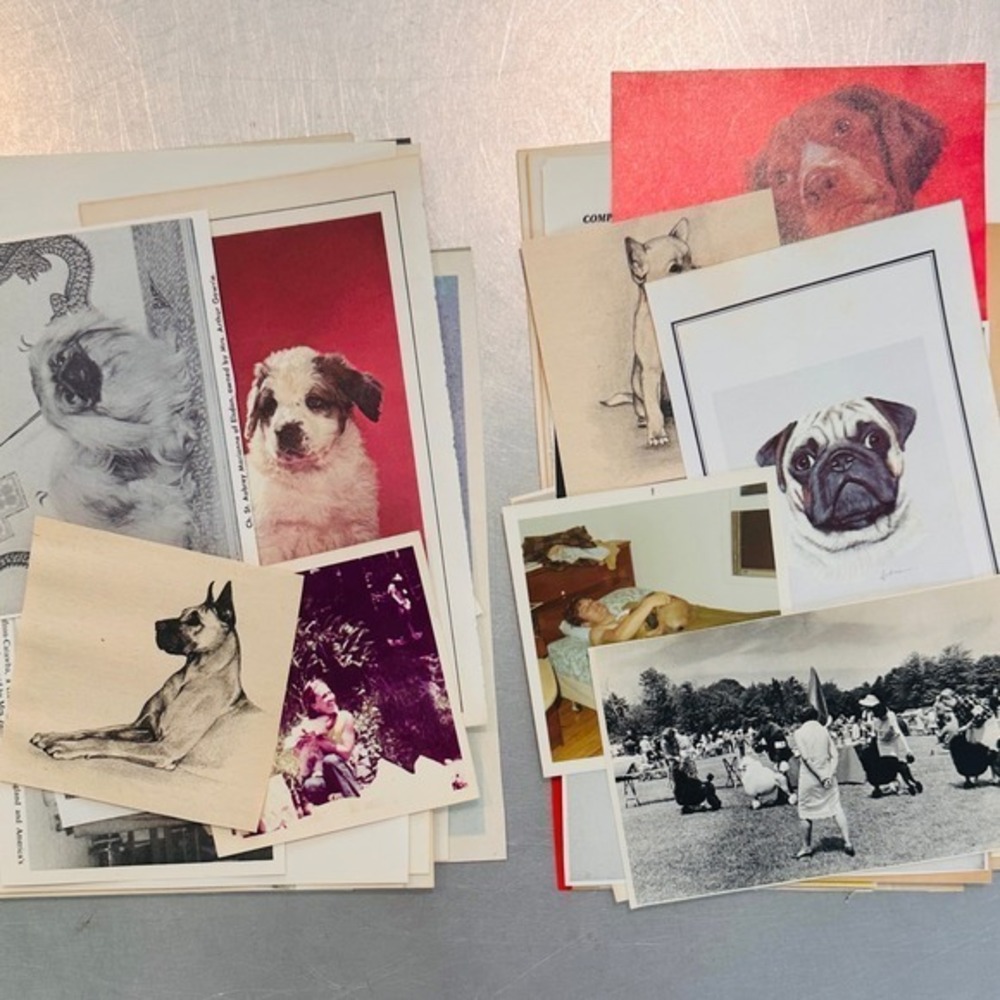 Dog Pack - 25 Piece Vintage Dog Ephemera Pack Junk Journal Collage DIY Art
